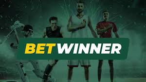 BetWinner Online Gambling Platform Your Guide to Betting Success